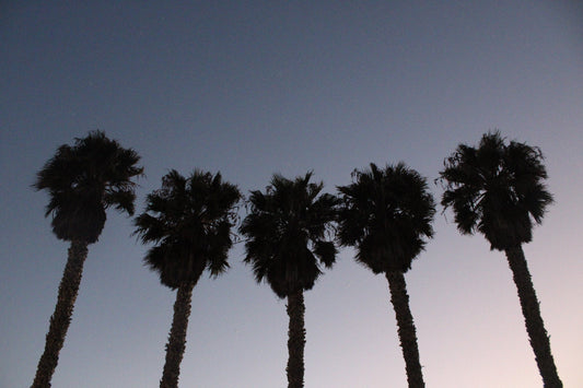 My Trip to Los Angeles — Donuts, Ocean Views, and What Surprised Me Most