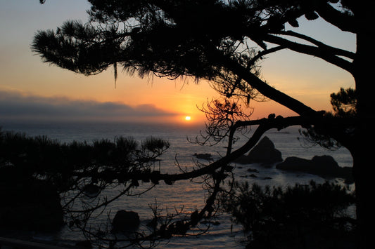 The Best Day of My Life — Driving the Pacific Coast to Oregon