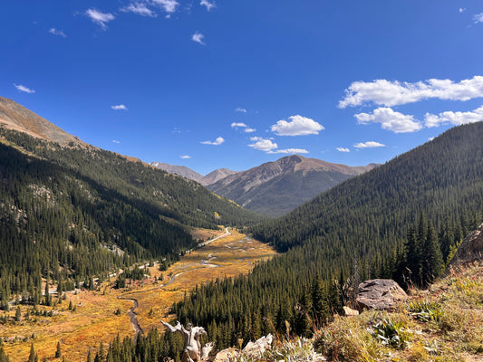 Why I Upgraded My iPhone for Photography (and My Go-To Accessories)