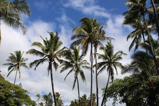 My Full Experience on Hawaii’s Big Island — The Hidden Side of Paradise