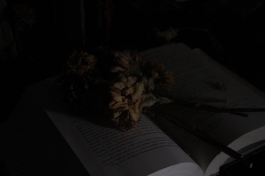 How Reading 20 Pages a Day Changed the Way I Consume Media