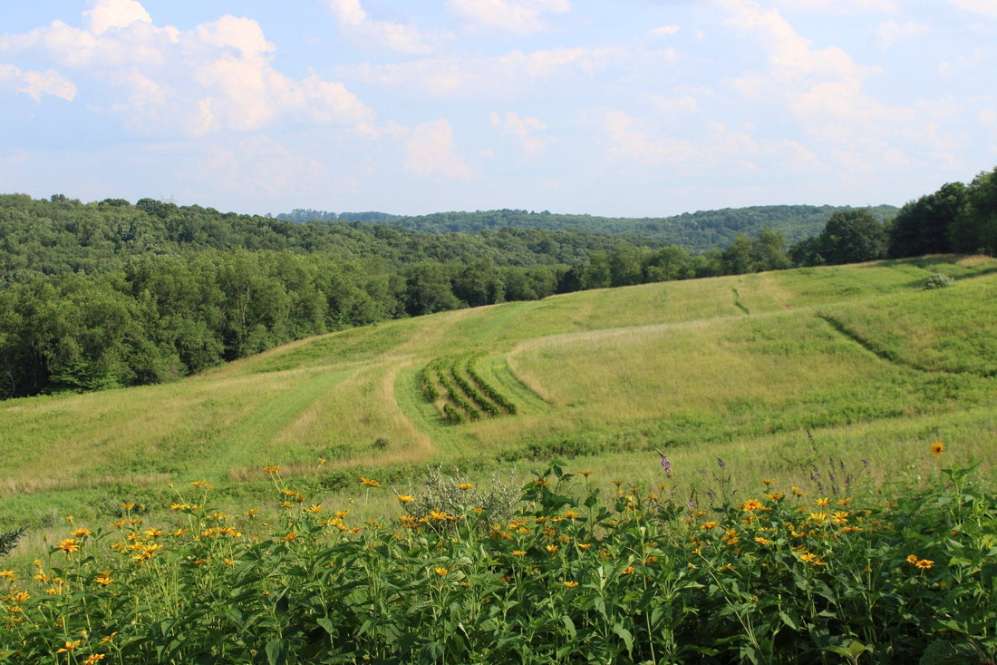 A Spontaneous Trip to Pennsylvania — Finding Rest and Adventure