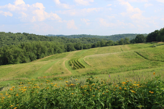 A Spontaneous Trip to Pennsylvania — Finding Rest and Adventure