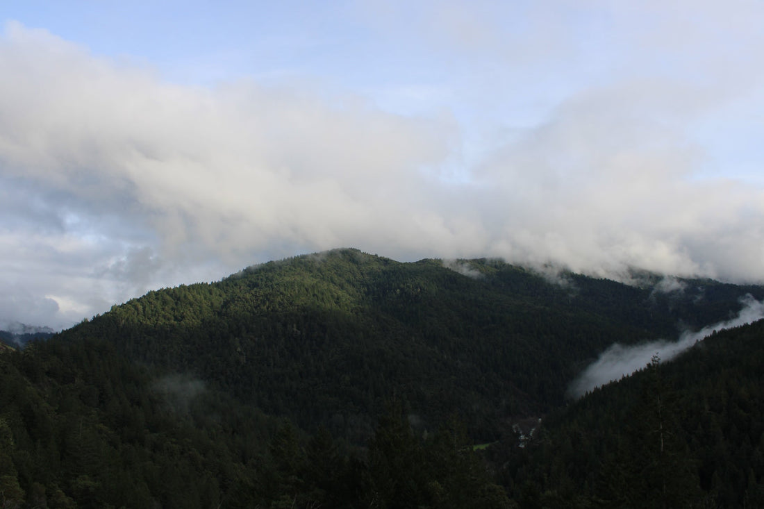 Living My Ideal Day — A Small Trip That Meant Everything